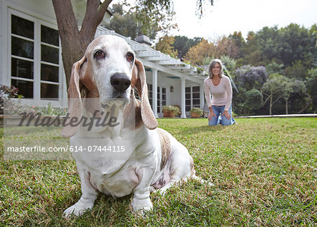 Dog sitting on grass, woman in background