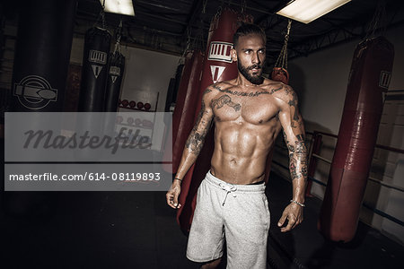 Tattooed male boxer poised looking sideways in gym - Stock Photo -  Masterfile - Premium Royalty-Free, Code: 614-08119893