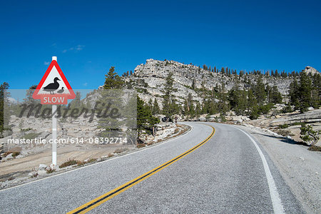 Mountain highway warning sign for slow ducks, Olmsted Point, Yosemite National Park, California, USA