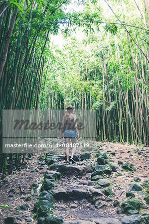 Rear view of female tourist in bamboo grove, Haleakala, Hawaii, USA