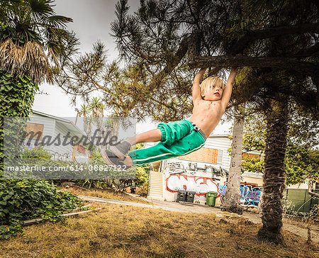 Boy swinging from tree