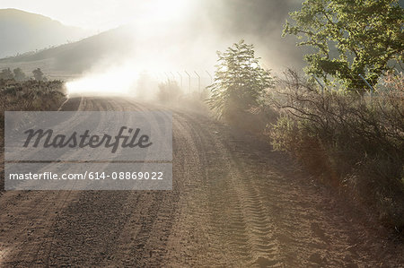 Tire tracks in rural dirt road