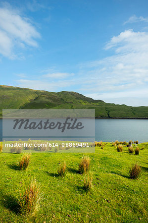 Still lake in rural landscape