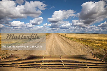 Texas gate, rural road