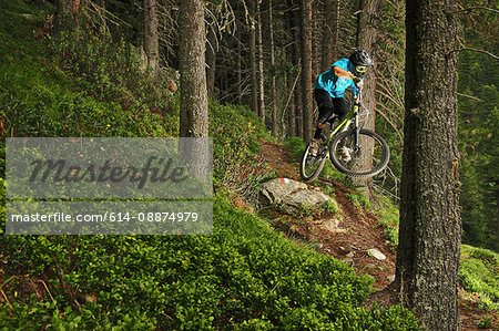 Mountain biker jumping down forest track