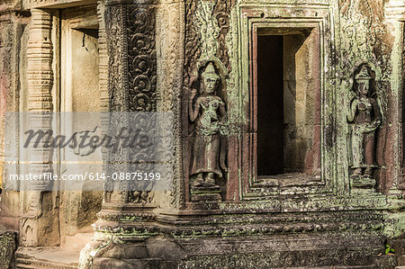 Carvings at Ta Prohm Temple ruins at  Angkor Wat, Siem Reap, Cambodia