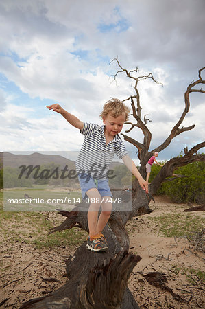 Boy climbing on dead tree, Purros, Kaokoland, Namibia