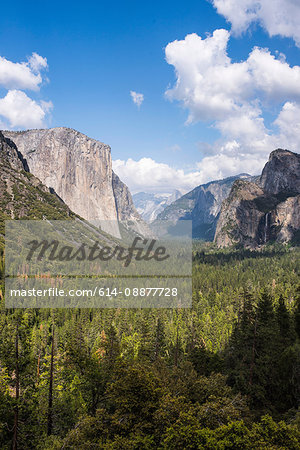 View of mounains and valley forest, Yosemite National Park, California, USA