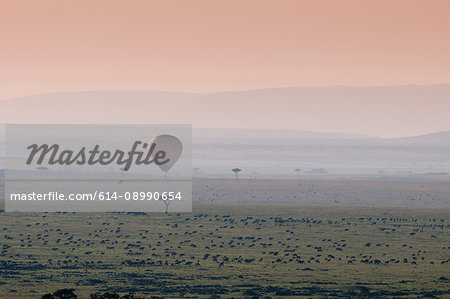 Balloon safari over Wildebeest migration, Masai Mara National Reserve, Kenya