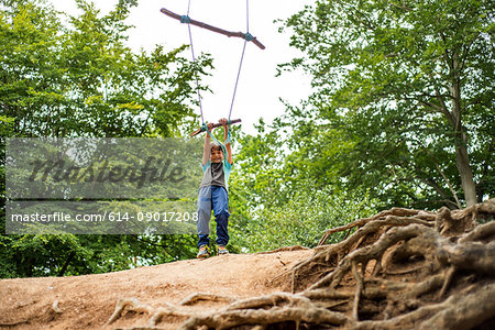 Young boy swinging on home-made tree swing