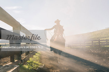 Cowboy with lasso on horse, Enterprise, Oregon, United States, North America