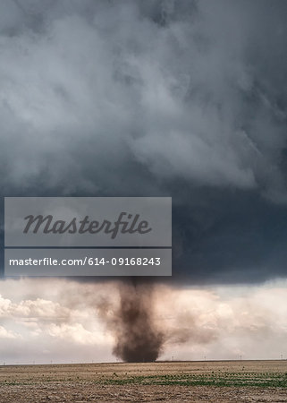 Landspout transforms into mesocyclone tornado under cumulonimbus, Cope, Colorado, US
