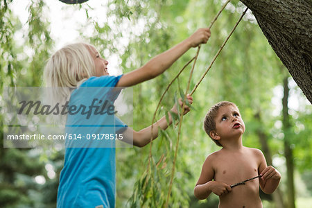 Children playing under willow tree
