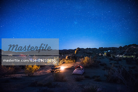 Camping site at night, Joshua Tree National Park, California, USA