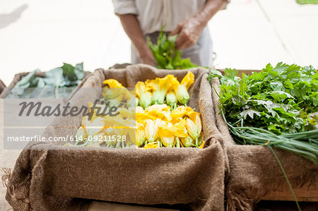 Farmer selling organic vegetables on stall