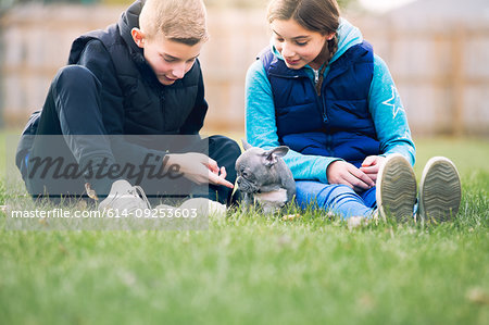 Children playing with puppy on grass
