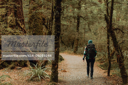 Hiker exploring forest, Queenstown, Canterbury, New Zealand