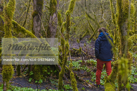 Man exploring humid moss-covered forest, Howe Sound, Canada