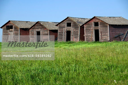 Old Barns In Skiff Alberta Stock Photo Masterfile Premium