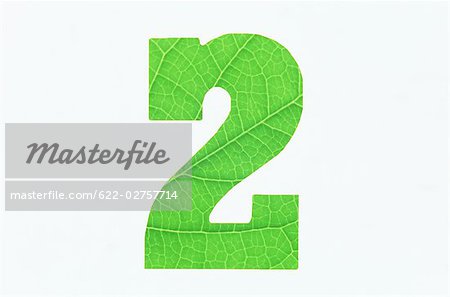Green Number 2 on White Background