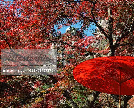 Shosenkyo of Autumn Red Leaves