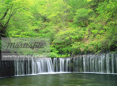 Shiraito Falls at  Nagano Prefecture,Japan