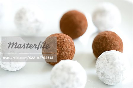 Chocolate Truffle on White Background