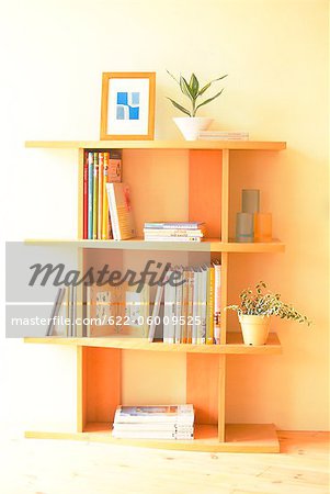 Modern Shelf Detail