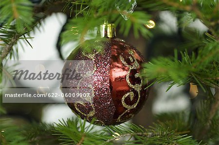 Christmas Ornament In Tree