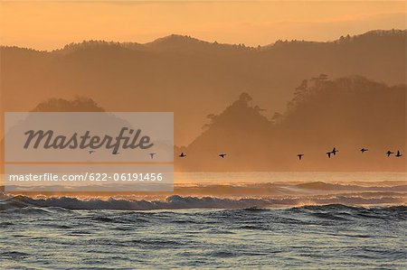 Waves, Limestone Cliff In Background At Dusk