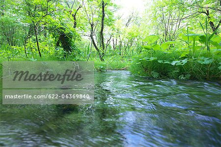 Mountain water stream in Fukushima