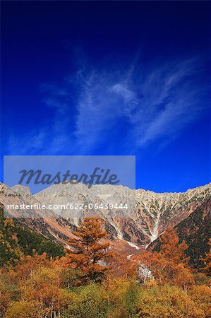 Autumn leaves, trees and blue sky at Mount Yakedake in Matsumoto, Nagano Prefecture