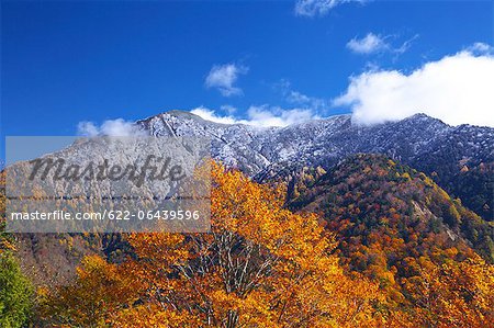 Trees, mountains and autumn leaves at Abotoge Pass in Matsumoto, Nagano Prefecture