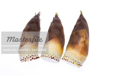 Bamboo sprouts against white background