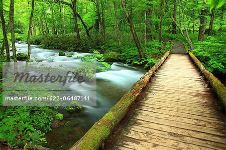 Oirase mountain stream, Aomori Prefecture