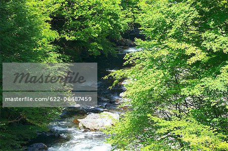 Mountain stream in Tabayama valley, Yamanashi Prefecture