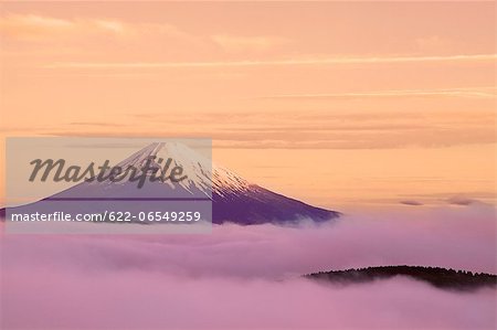 Sea of ??clouds and morning glow at Mount Fuji