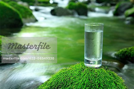 Glass of water near a mountain stream
