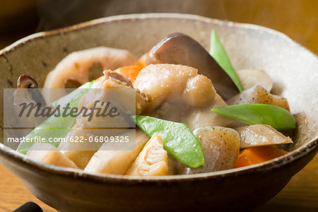 Japanese-style chicken stew
