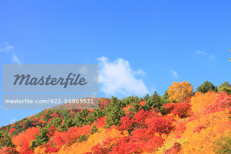 Autumn at Tengu garden, Fukushima Prefecture