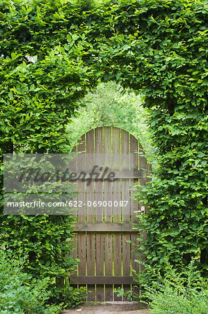 Trees and wooden door