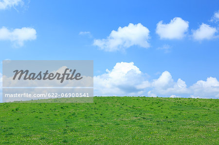 Grassland and sky with clouds, Hokkaido