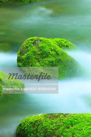 Moss and water stream