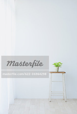 Plant and small table in white room