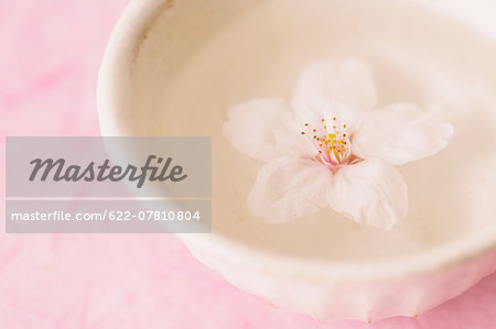 Cherry blossom floating in a cup