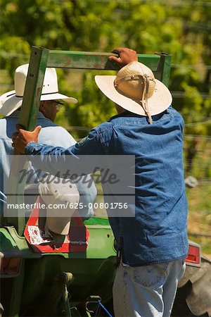 Rear view of two farmers on a tractor