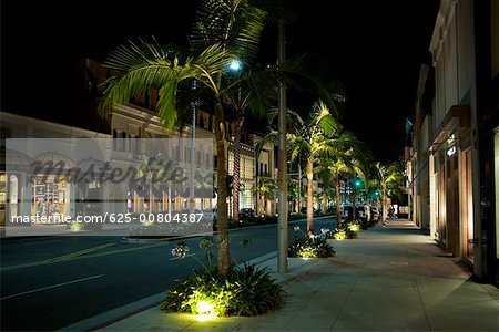 Palm Trees In Rodeo Drive At Night. Beverly Hills, California