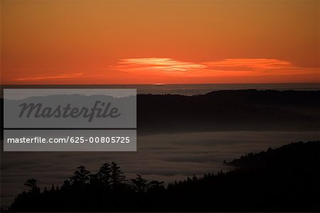 High angle view of a cloudscape