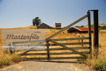 Barn in a field