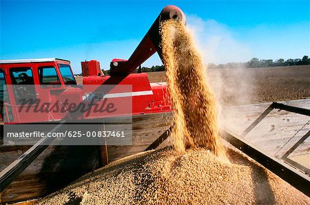 Close-up of a combine loading soy beans into the truck, Midwest, USA